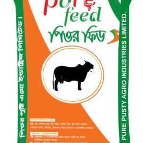 Pure Cattle Feed Economy (Beef) 50 Kg